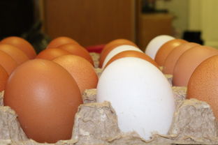 收人工代怀孕妈尿有什么用 收人工代怀孕妈尿有什么用